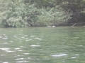 DSCN2315