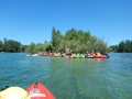 DSCN2437