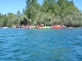 DSCN2443