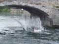P6280106