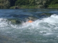 P7050161