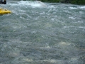 P7050315