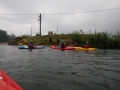DSCN0231.JPG