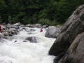 DSCN4520