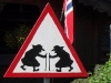norway 2008 053